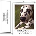 Birthday Greeting Cards w/Imprinted Envelopes